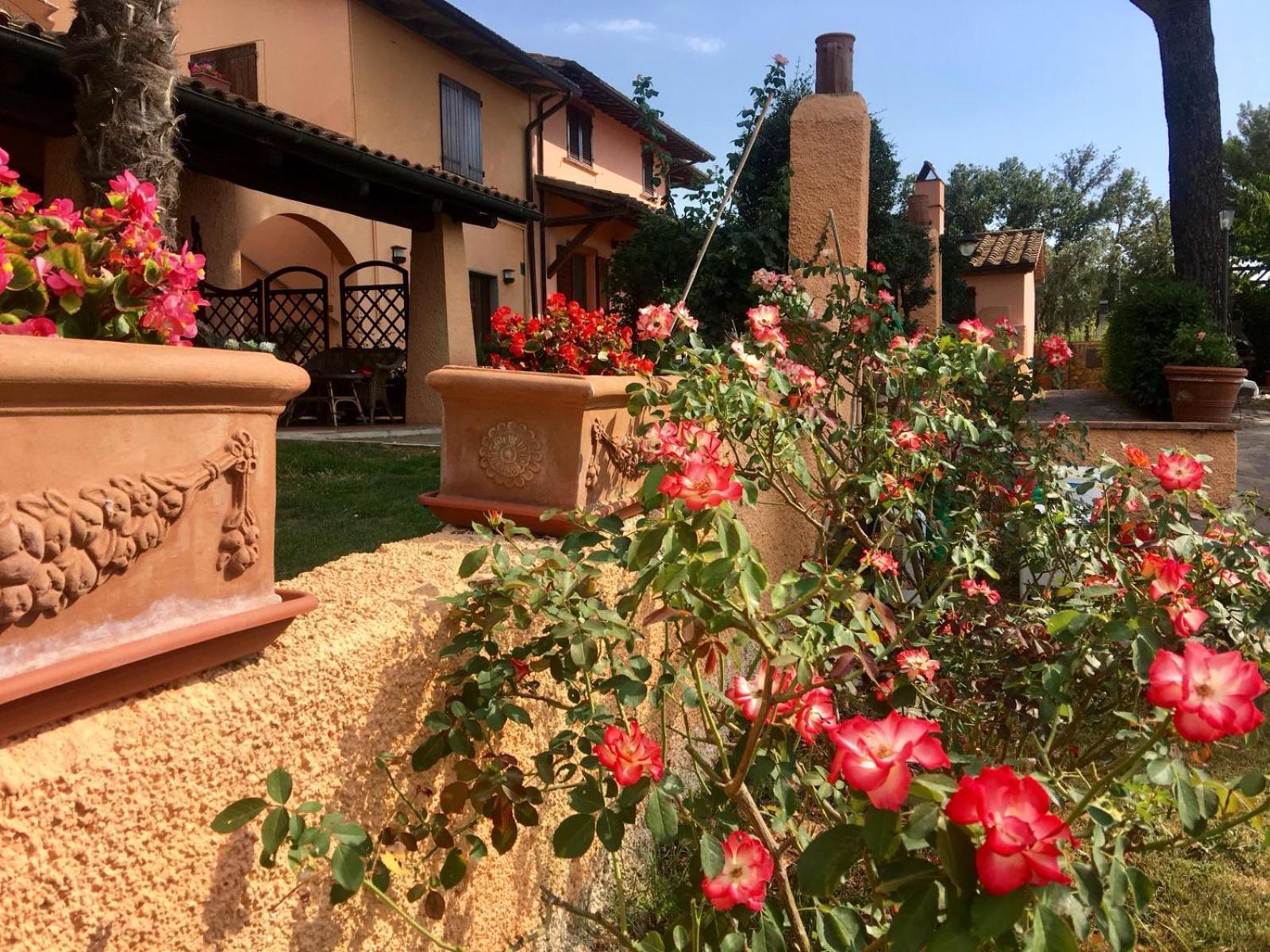 Agriturismo Terranera Скансано Экстерьер фото
